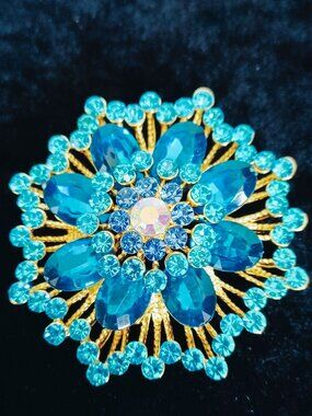Gorgeous Blue Brooch